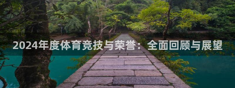 2024年度体育竞技与荣誉：全面回顾与展望
