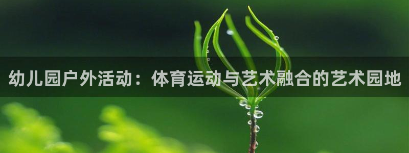 幼儿园户外活动：体育运动与艺术融合的艺术园地