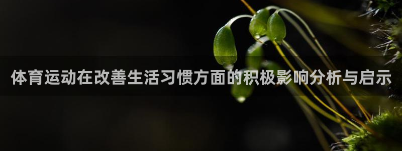 体育运动在改善生活习惯方面的积极影响分析与启示