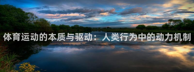 体育运动的本质与驱动：人类行为中的动力机制