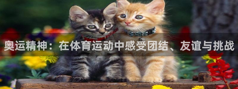 奥运精神：在体育运动中感受团结、友谊与挑战