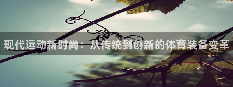 现代运动新时尚：从传统到创新的体育装备变革