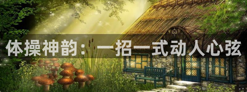 体操神韵：一招一式动人心弦
